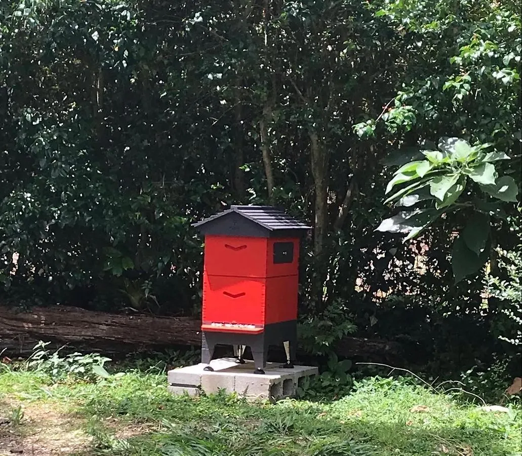 Pk Illusions Daire Maleny
