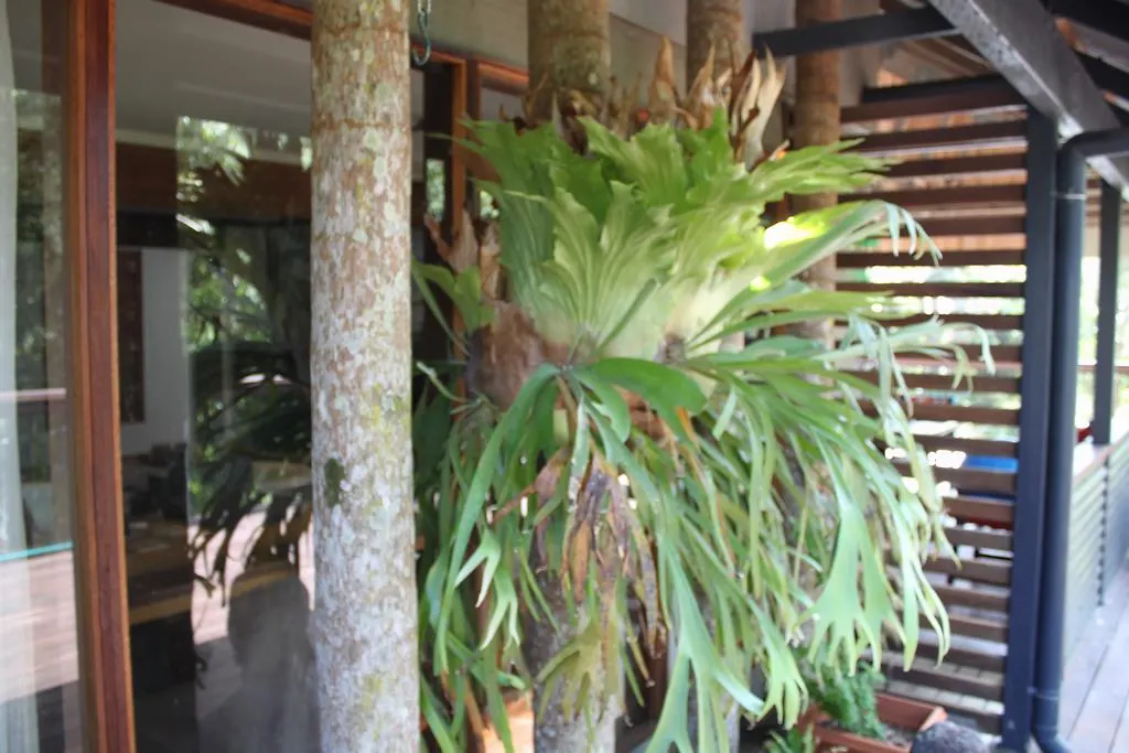 Pk Illusions Daire Maleny